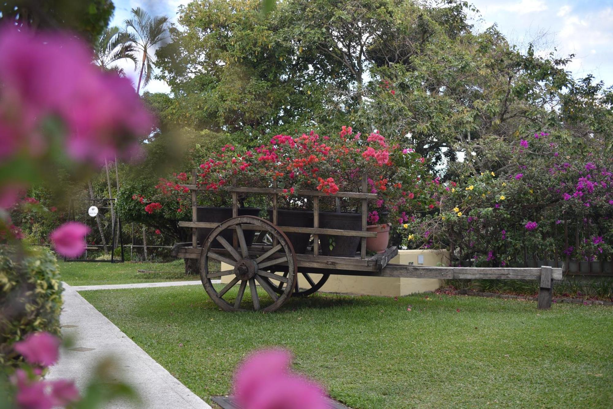 Hotel Mirador Plaza San Salvador Esterno foto